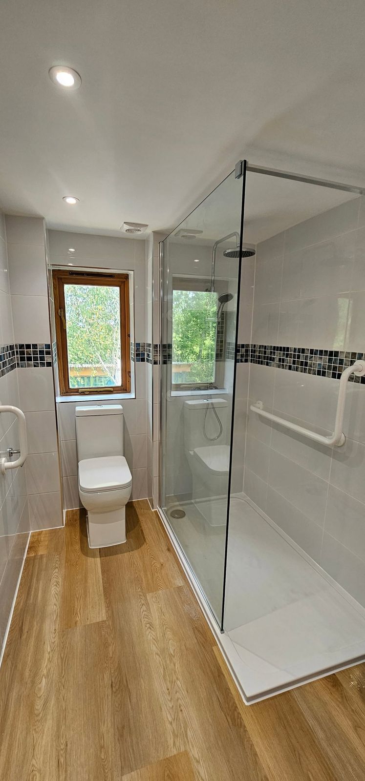 Walk-in shower with a glass screen beside the toilet in the finished bathroom